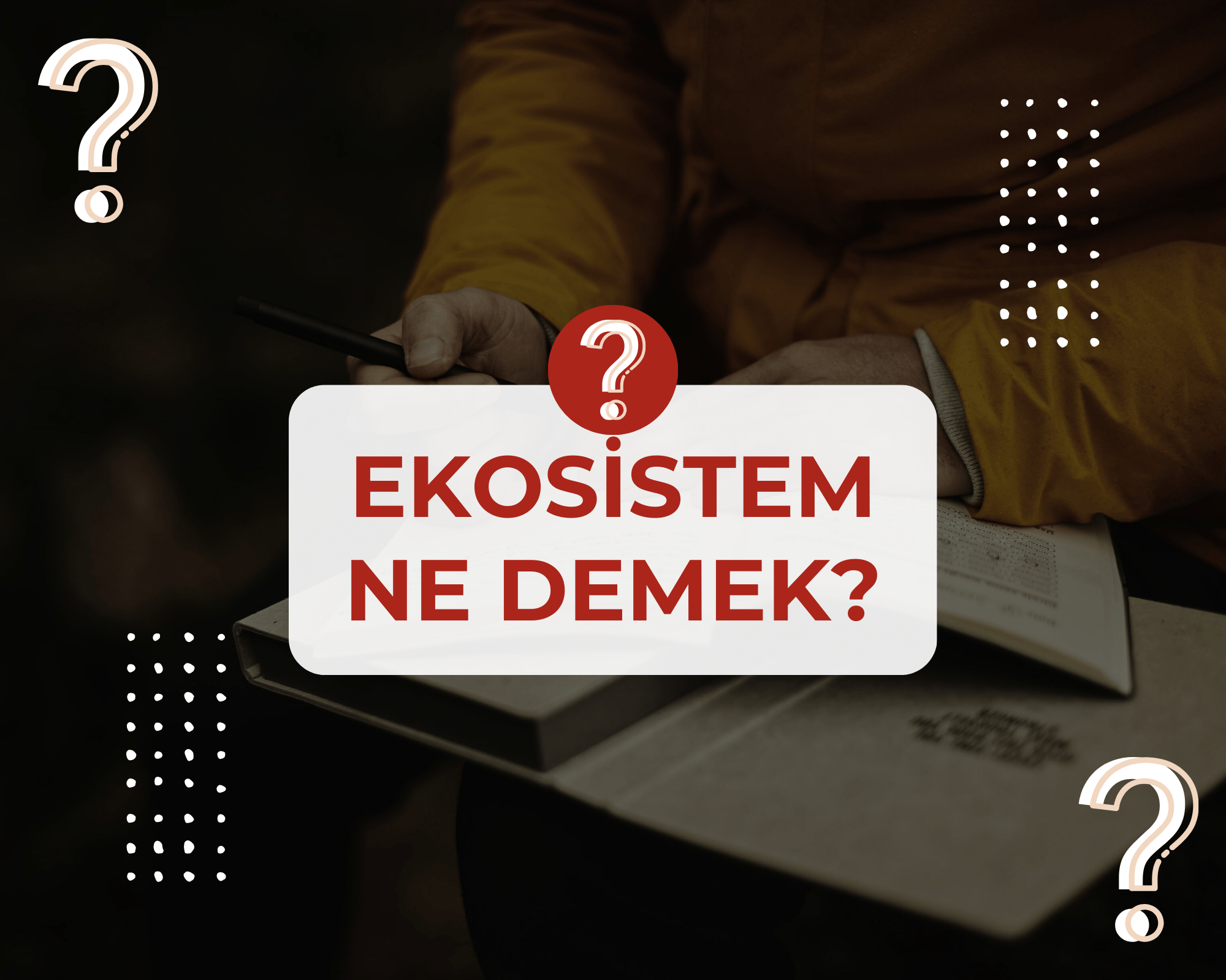 Ekosistem nedir? Tdk’ya göre anlamı ve kökeni