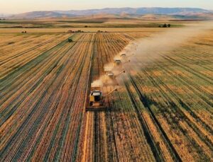 Çiftçilere 1,9 milyar liradan fazla tarımsal destekleme ödemesi yapıldı