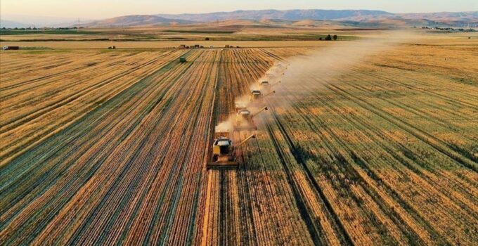 Çiftçilere 1,9 milyar liradan fazla tarımsal destekleme ödemesi yapıldı